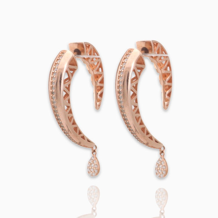 Wow curvy design dangler earring set